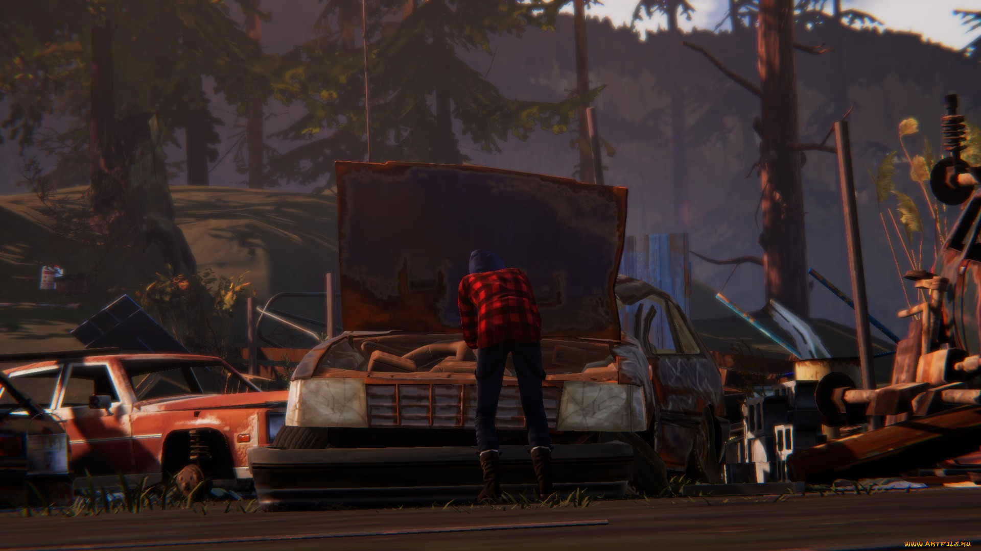  , life is strange,  before the storm, 